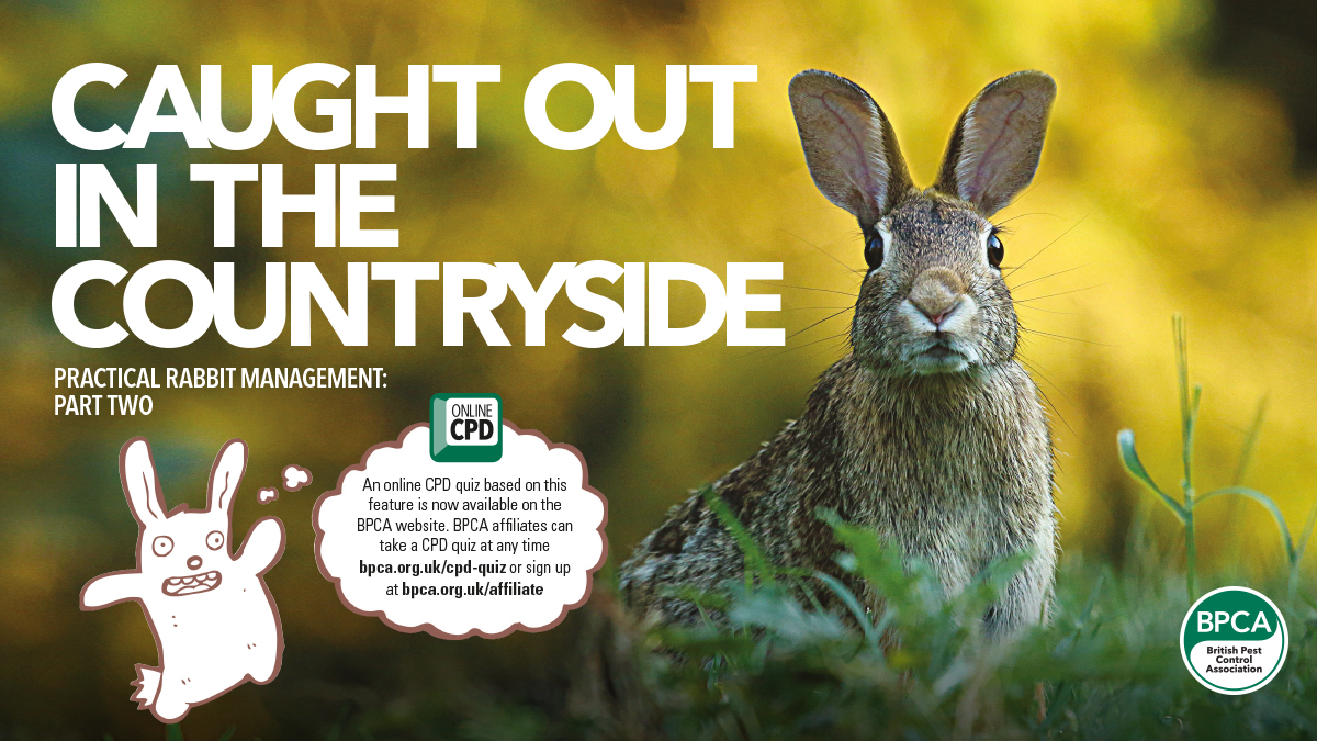 Practical rabbit management part 2 BPCA pest control magazine Practical rabbit management part 2 BPCA pest control magazine